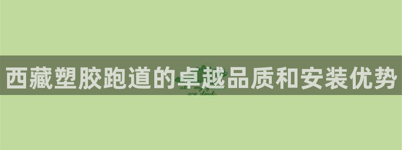 ZL尊龙凯时平台：西藏塑胶跑道的卓越品质和安装优势