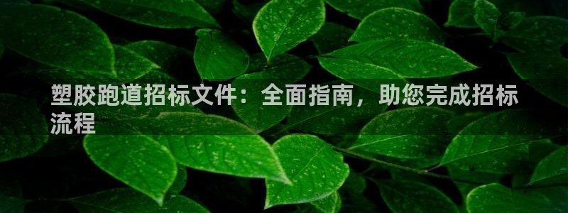 尊龙人生就是博d88官方网站：塑胶跑道招标文件：全面指南，助您完成招标
流程