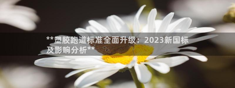 尊龙凯时游戏厅：**塑胶跑道标准全面升级：2023新国标
及影响分析**